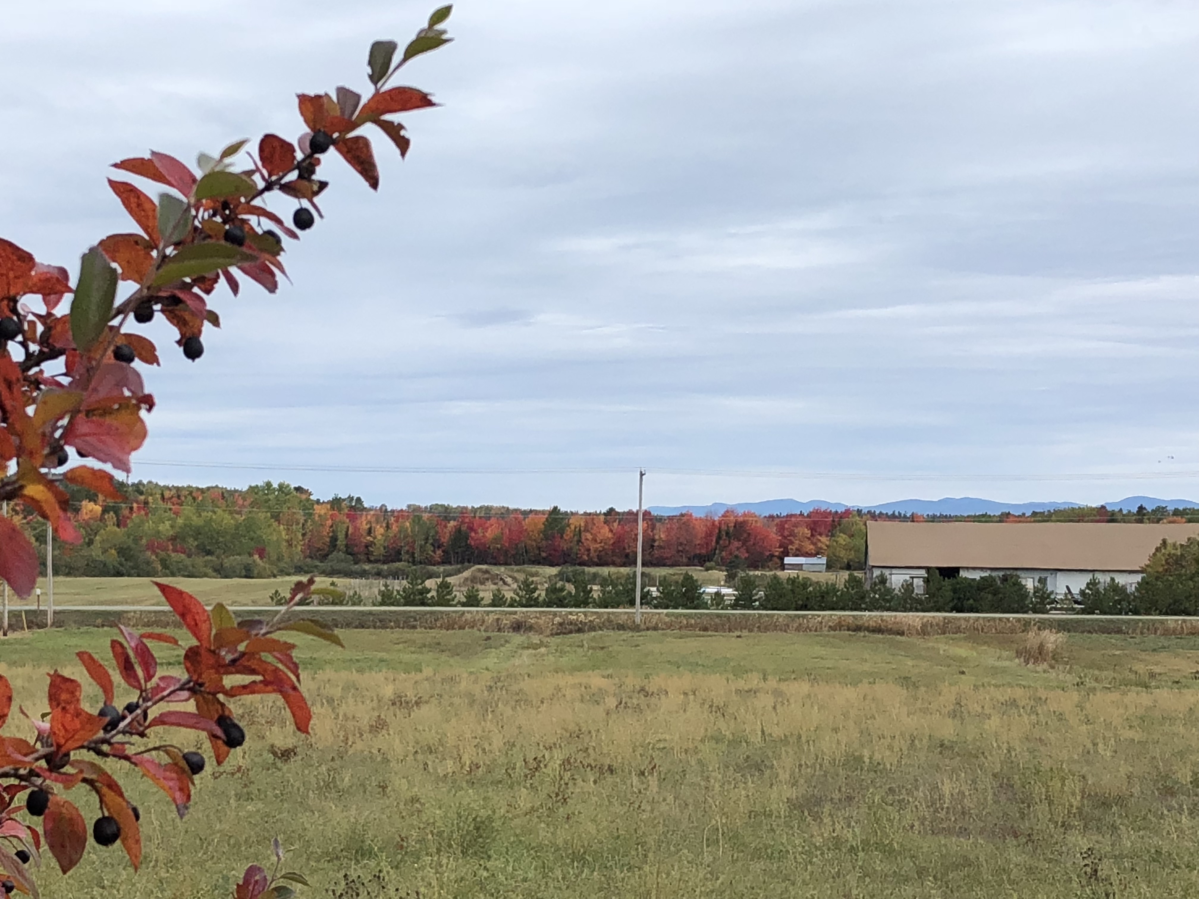 h50ROYyNRTaOuIt%VEzhvw